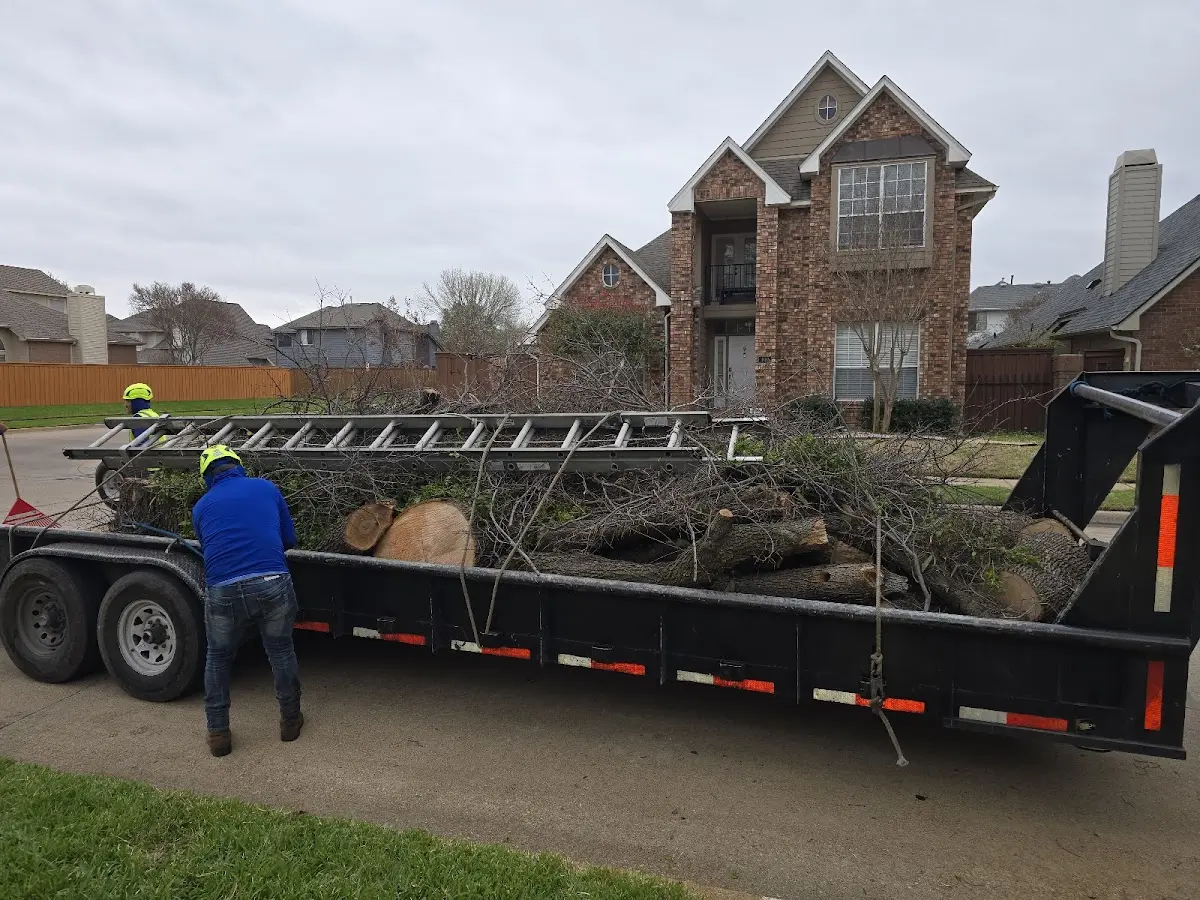 Expert Tree Fertilization with proper safety equipment in Longville